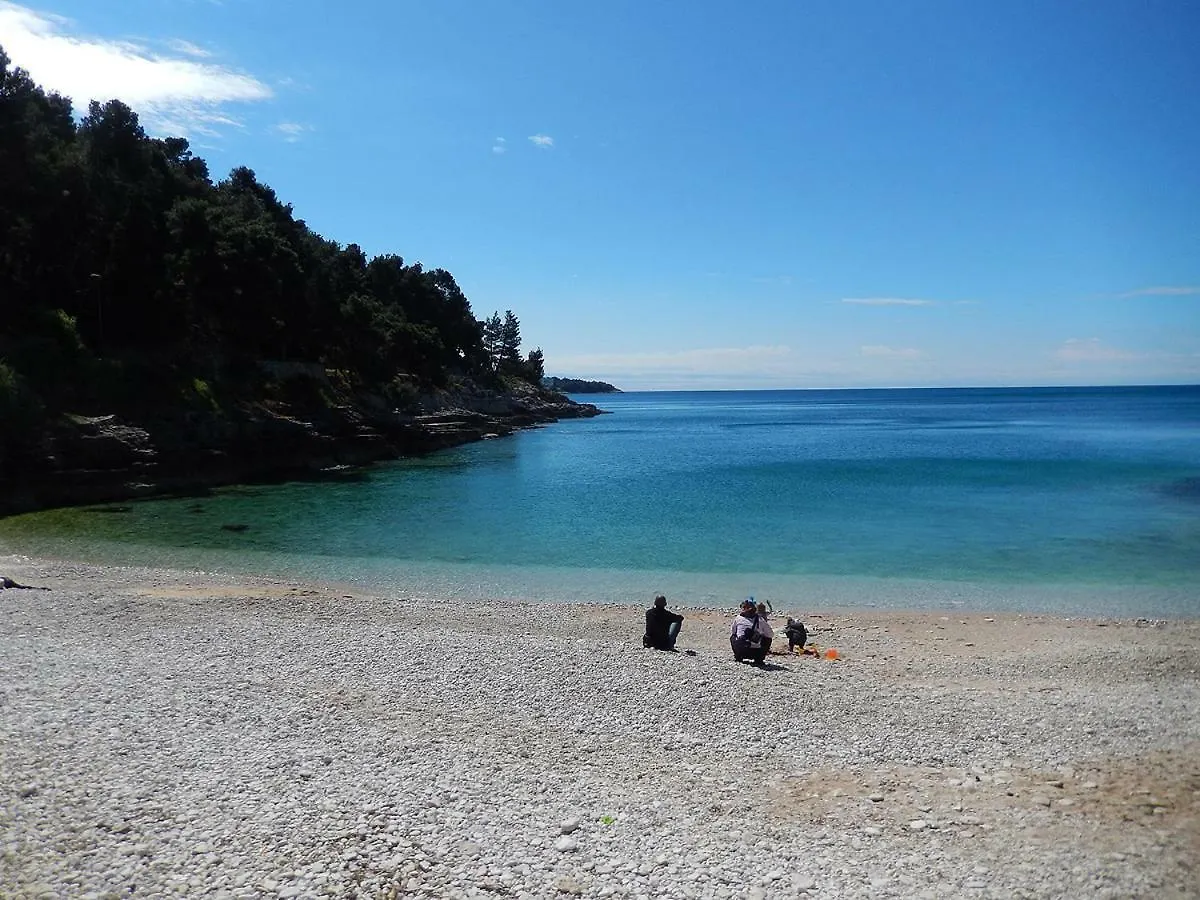 Spacious Apartment By The Sea 8+4 Pula